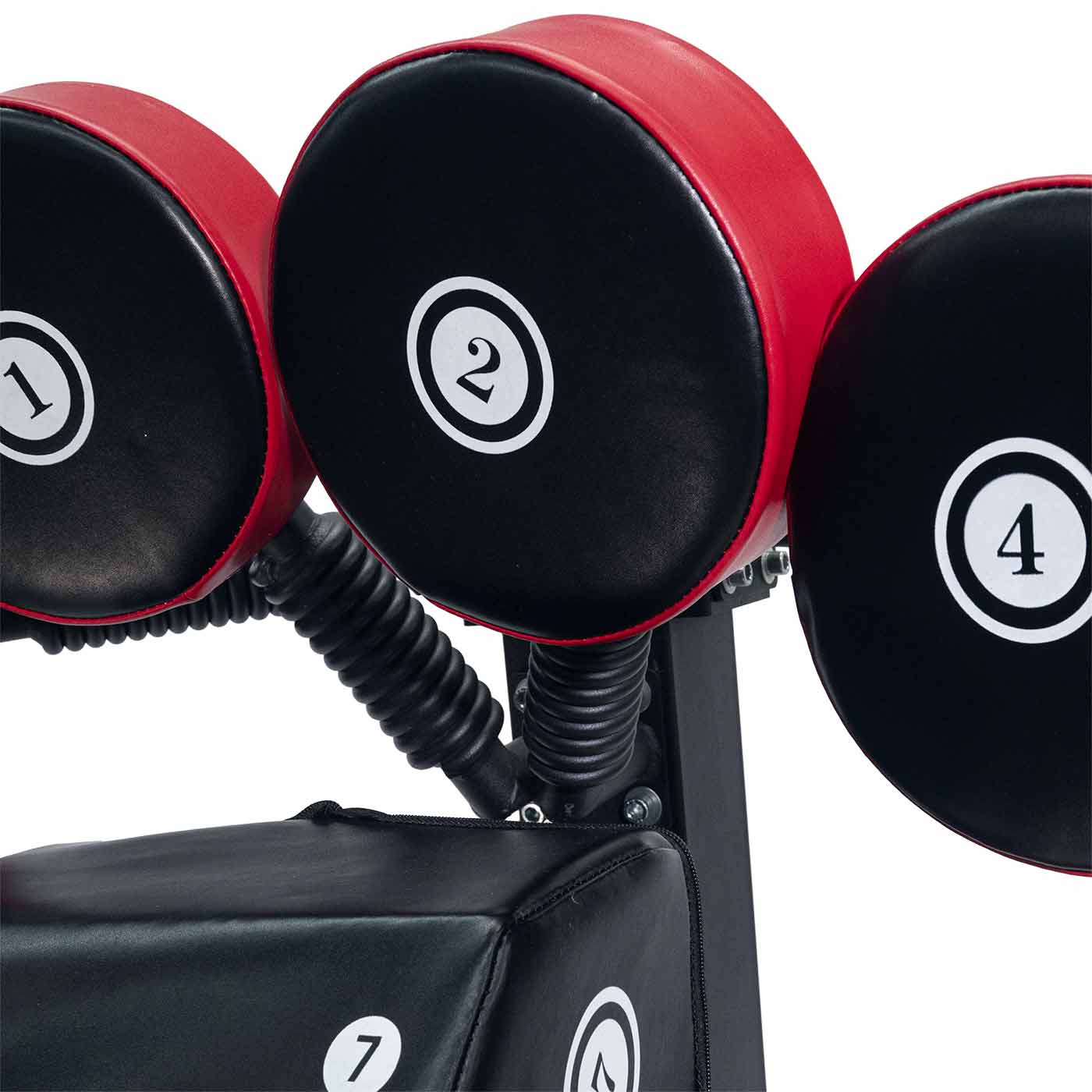 Boxing Master - Evolution Fitness